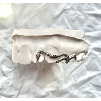 Rippling Snake Grillz